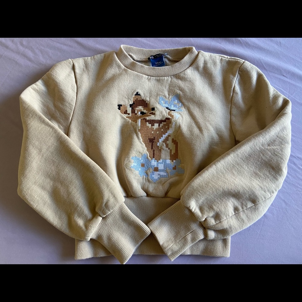 Zara limited sweatshirt